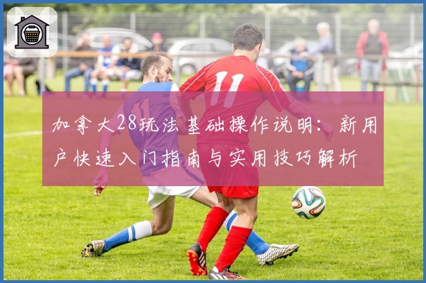 加拿大28玩法基础操作说明：新用户快速入门指南与实用技巧解析