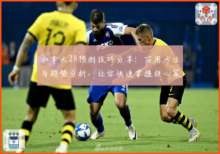 加拿大28预测技巧分享:实用方法与趋势分析,让你快速掌握核心策略