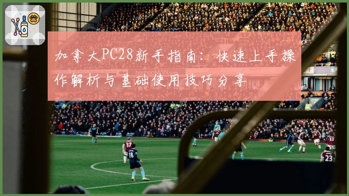 加拿大PC28新手指南：快速上手操作解析与基础使用技巧分享