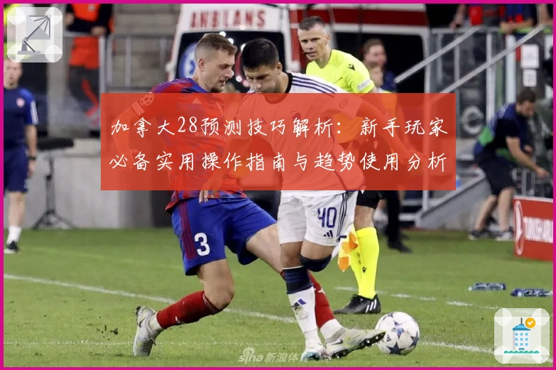 加拿大28预测技巧解析：新手玩家必备实用操作指南与趋势使用分析