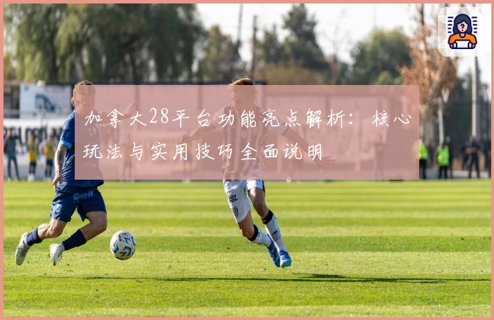 加拿大28平台功能亮点解析:核心玩法与实用技巧全面说明