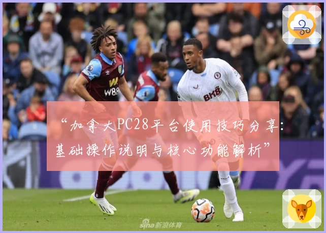 “加拿大PC28平台使用技巧分享:基础操作说明与核心功能解析”