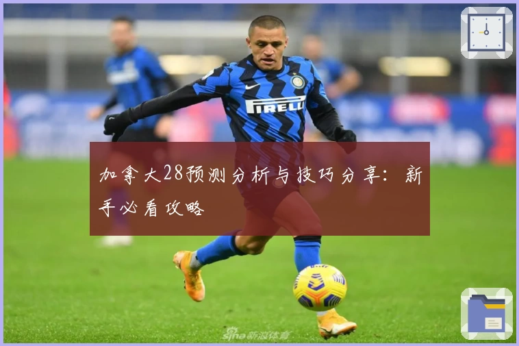 加拿大28预测分析与技巧分享：新手必看攻略