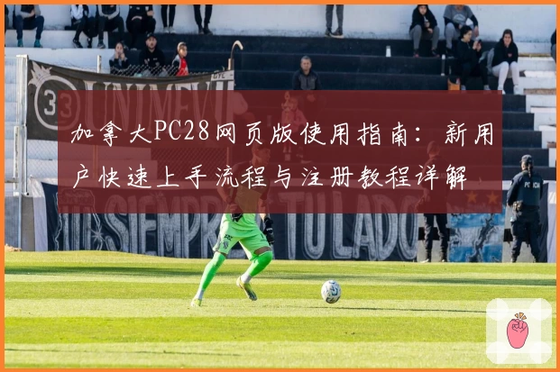 加拿大PC28网页版使用指南：新用户快速上手流程与注册教程详解