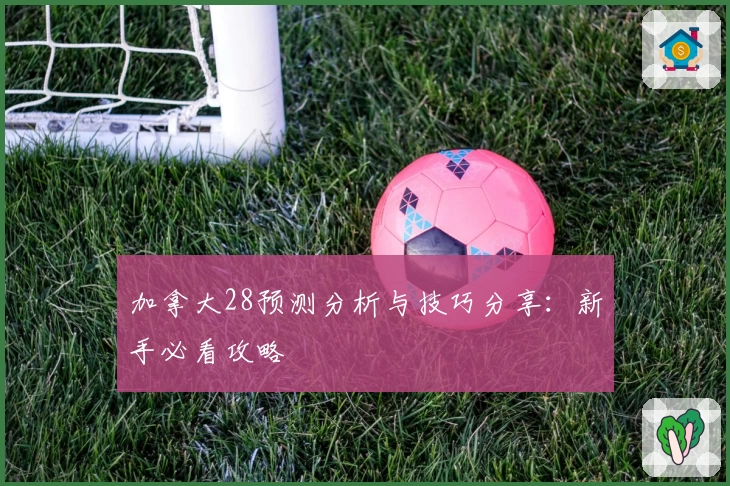 加拿大28预测分析与技巧分享：新手必看攻略