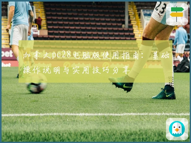 加拿大pc28电脑版使用指南：基础操作说明与实用技巧分享