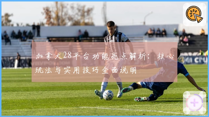 加拿大28平台功能亮点解析：核心玩法与实用技巧全面说明